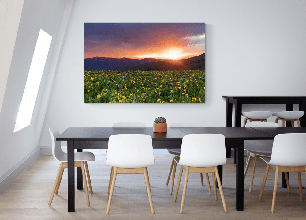 Wildflower Sunset — Scott Bellow Photography